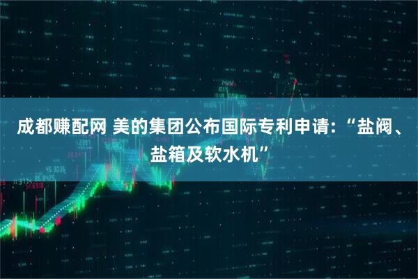 成都赚配网 美的集团公布国际专利申请: “盐阀、盐箱及软水机”