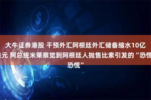 大牛证券港股 干预外汇阿根廷外汇储备缩水10亿美元 阿总统米莱察觉到阿根廷人抛售比索引发的“恐慌”