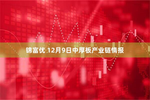 锦富优 12月9日中厚板产业链情报